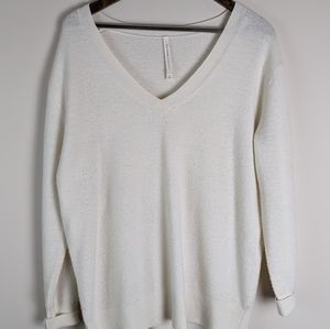 Aritzia V-Neck Sweater